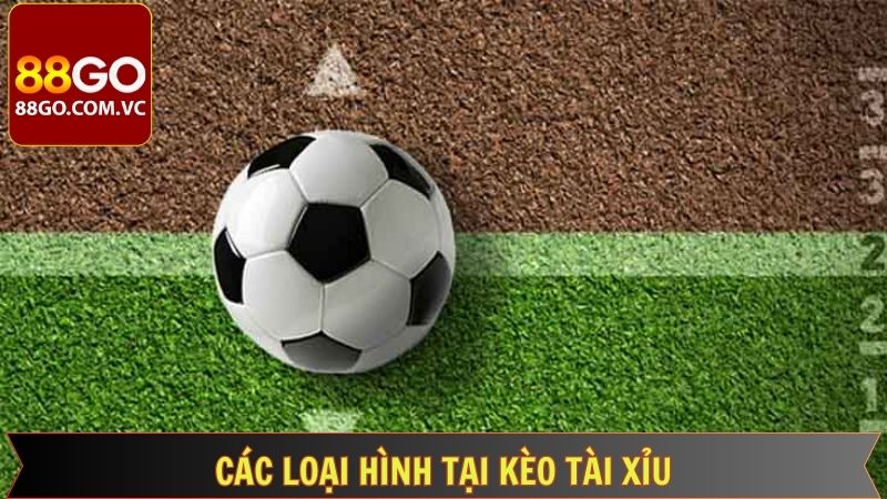 Những loại hình kèo cược Tài Xỉu phổ biến nhất hiện nay 